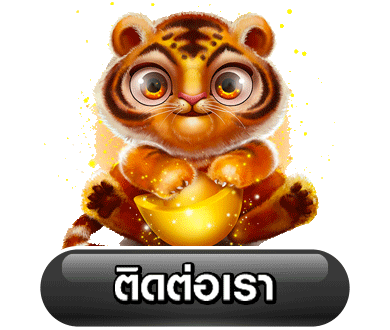 haa555